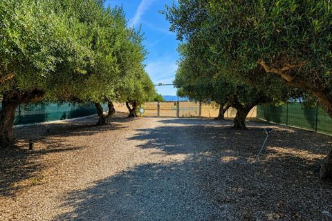 Terra a Beniganim, Valencia, Beniganim - € 49.000 | Ref: PNPT305 - foto 18
